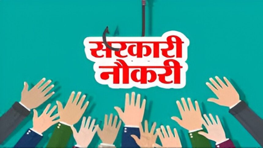 Sarkari Naukari