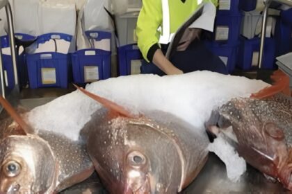 Fisheries Inspector Final List