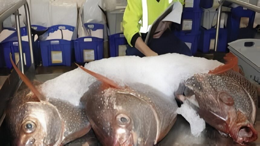 Fisheries Inspector Final List