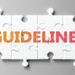 Urban Event Guidelines