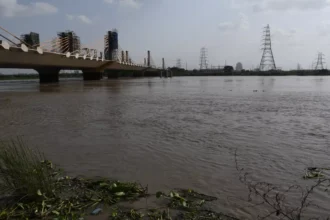 Signature Bridge Delhi
