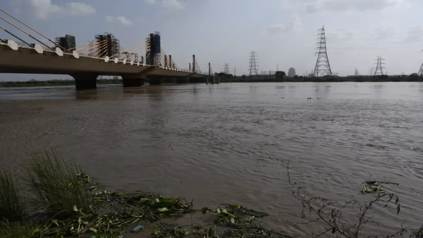 Signature Bridge Delhi