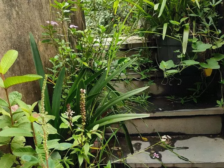 Raipur Police Quarters Danger