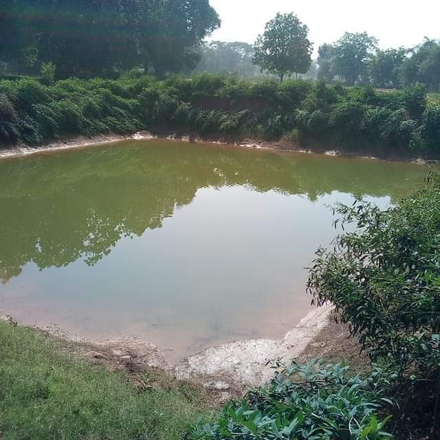 Raigarh Water Conservation Achievement