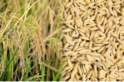 Agristack Portal Registration