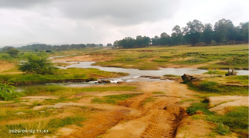 Chhattisgarh Development