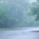 Chhattisgarh Rainfall Report