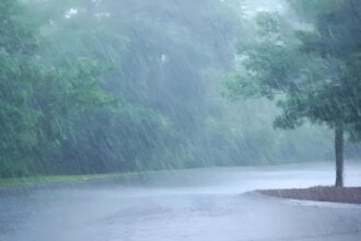 Chhattisgarh Rainfall Report