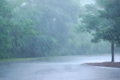 Chhattisgarh Rainfall Report