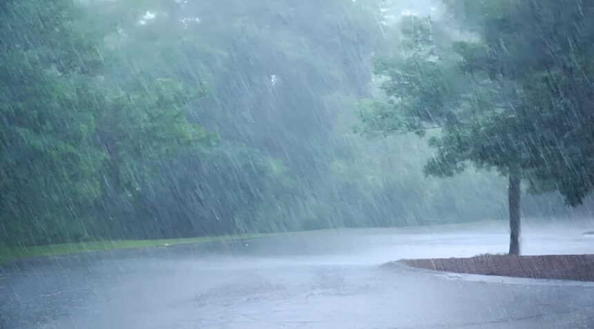 Chhattisgarh Rainfall Report