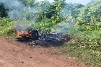 Domestic Violence Balod