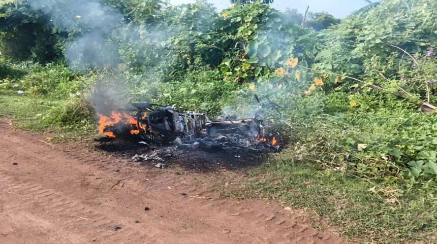 Domestic Violence Balod