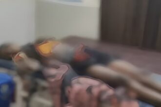 Domestic Violence Case