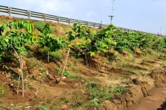 Green Corridor NHAI