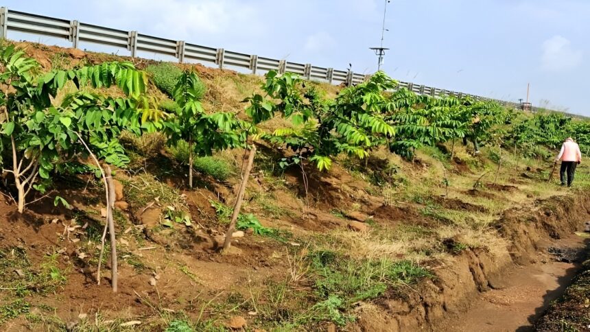 Green Corridor NHAI