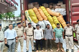 Interstate Cannabis Smuggling Gang Bust