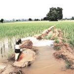 Chhattisgarh Irrigation Projects Approval