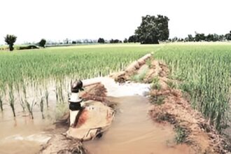 Chhattisgarh Irrigation Projects Approval