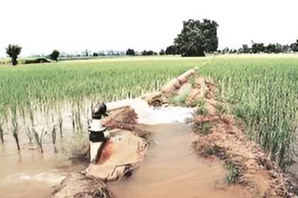Chhattisgarh Irrigation Projects Approval