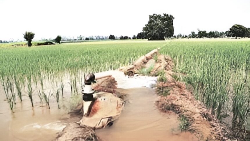 Chhattisgarh Irrigation Projects Approval