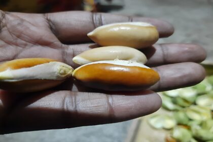 World Food India 2025