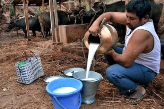 Milk Price Hike
