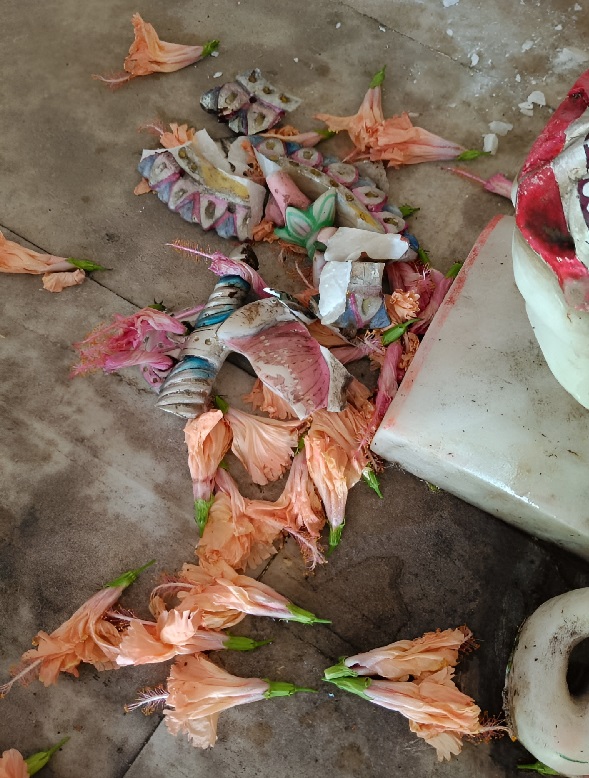 Temple Vandalism Bilaspur
