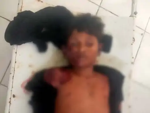 Raigarh Ganesh Visarjan Accident