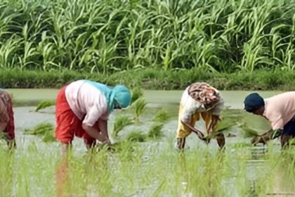 Developed Krishi Sankalp Abhiyan