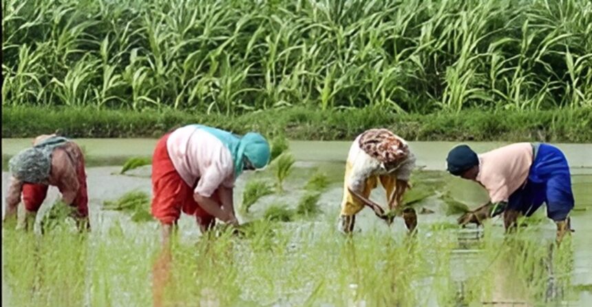 Developed Krishi Sankalp Abhiyan