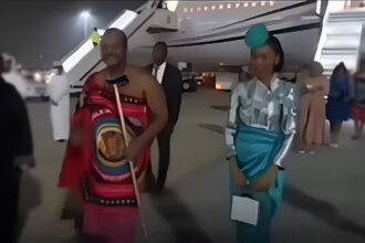 Abu Dhabi Airport Viral Video