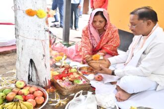 Amla Navami Celebration