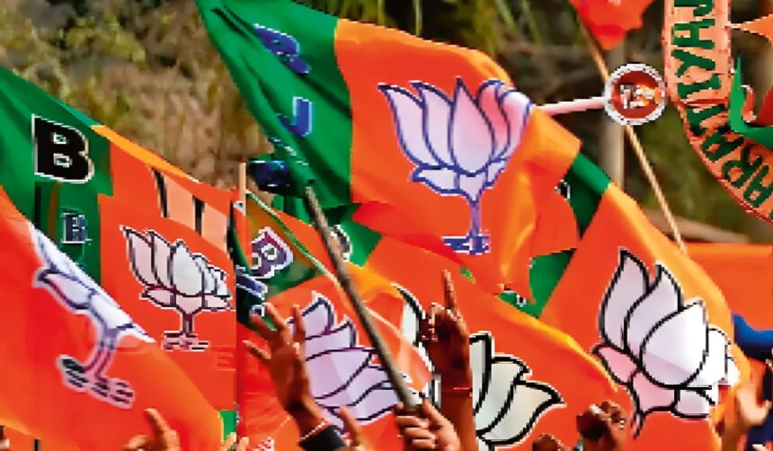 BJP Executive Committee