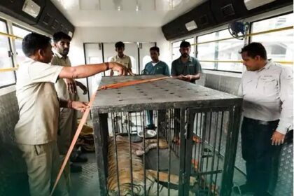 Baghin Bijli Death
