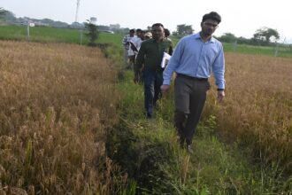 Balodabazar Crop Verification