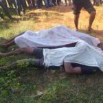 Bee Attack Bastar