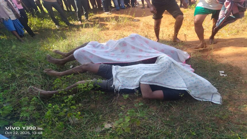 Bee Attack Bastar