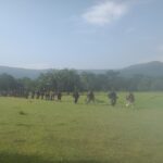 Bhupathi surrender