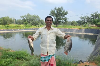 Biofloc Fish Farming