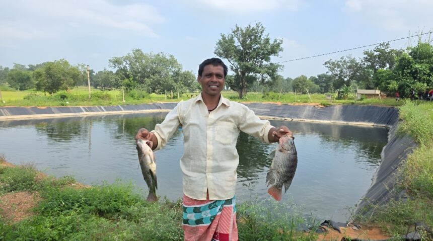 Biofloc Fish Farming