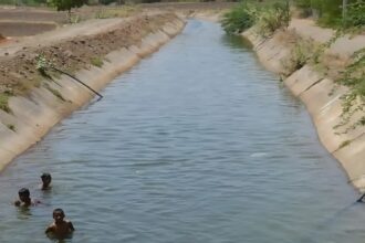 Canal Repair