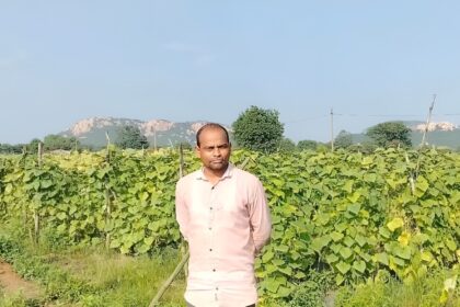 Cash Crop Farming Chhattisgarh