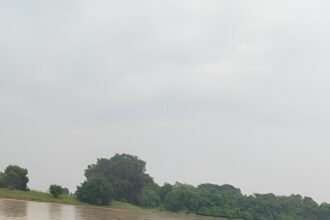 Flood Rescue Operation
