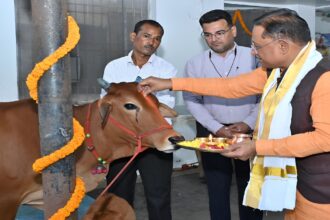 Govardhan Puja 2025 Chhattisgarh
