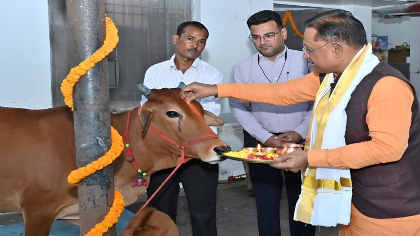 Govardhan Puja 2025 Chhattisgarh
