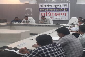 Illegal Paddy Transport