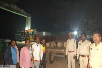 Illegal Teak Wood Transport Chhattisgarh