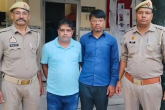 Insurance Scam