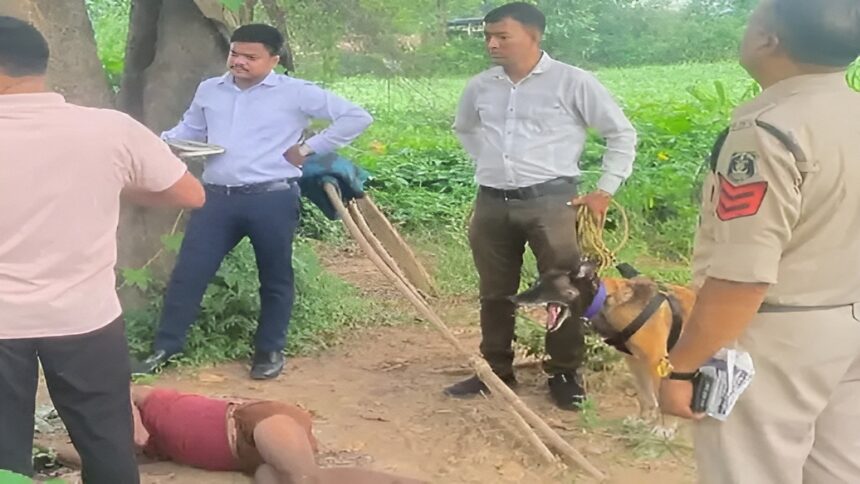 Murder Case