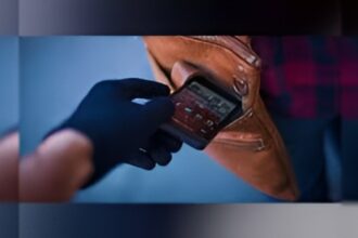 Online Fraud Case